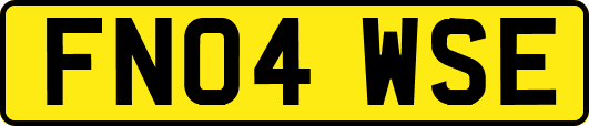 FN04WSE