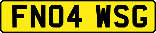 FN04WSG