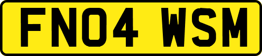 FN04WSM