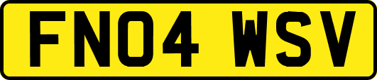 FN04WSV