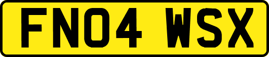 FN04WSX