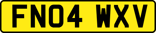 FN04WXV