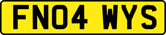 FN04WYS