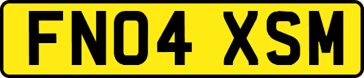FN04XSM
