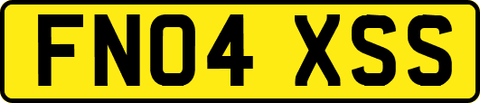 FN04XSS