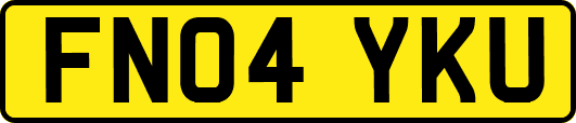 FN04YKU