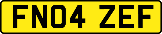 FN04ZEF