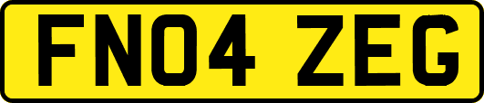 FN04ZEG
