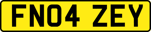 FN04ZEY
