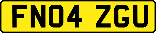 FN04ZGU