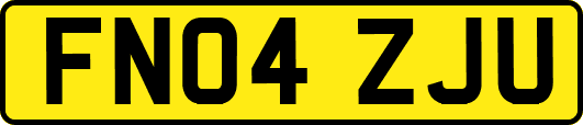 FN04ZJU