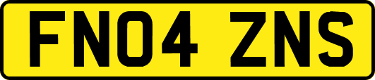 FN04ZNS