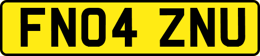 FN04ZNU