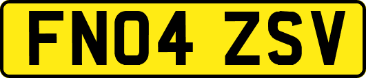 FN04ZSV