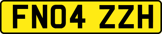 FN04ZZH