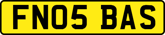 FN05BAS