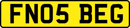 FN05BEG
