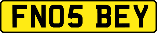 FN05BEY