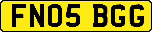 FN05BGG