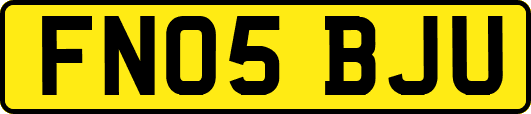 FN05BJU