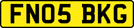 FN05BKG