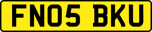 FN05BKU