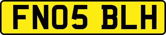 FN05BLH