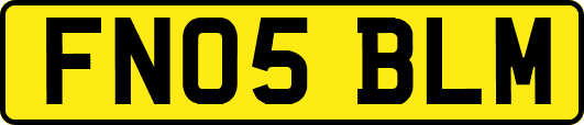 FN05BLM