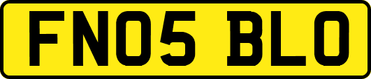 FN05BLO