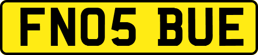 FN05BUE