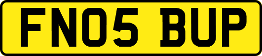 FN05BUP