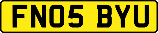 FN05BYU
