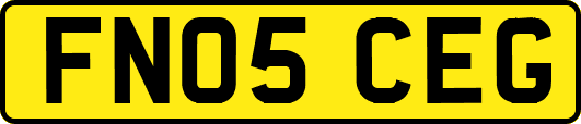 FN05CEG