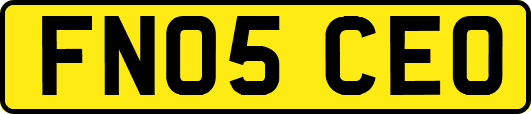 FN05CEO