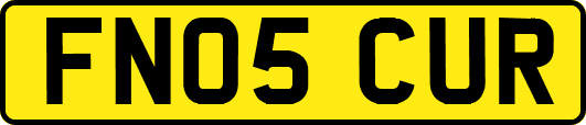 FN05CUR