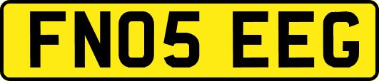 FN05EEG