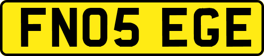 FN05EGE