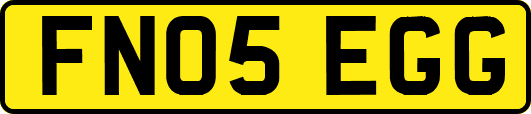 FN05EGG