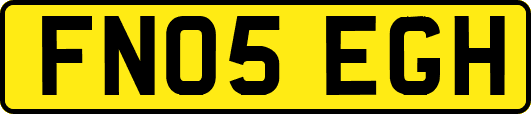 FN05EGH