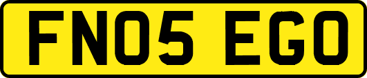 FN05EGO