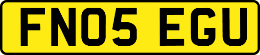 FN05EGU