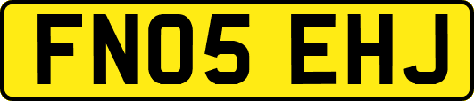 FN05EHJ