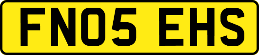 FN05EHS