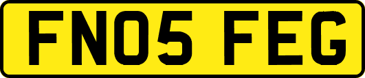 FN05FEG