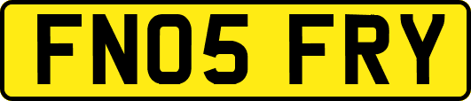 FN05FRY