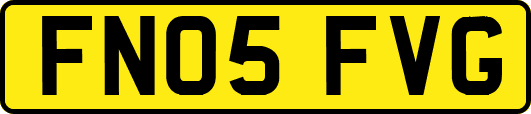 FN05FVG