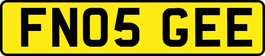 FN05GEE