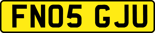 FN05GJU