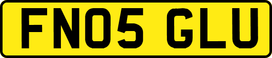 FN05GLU