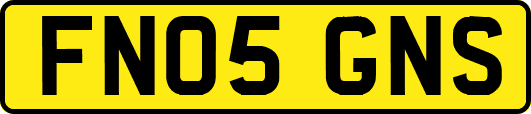 FN05GNS